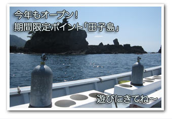 今年もオープン! 期間限定ポイント「田子島」 今年もオープン! 期間限定ポイント「田子島」