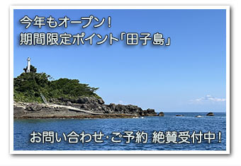今年もオープン! 期間限定ポイント「田子島」 今年もオープン! 期間限定ポイント「田子島」